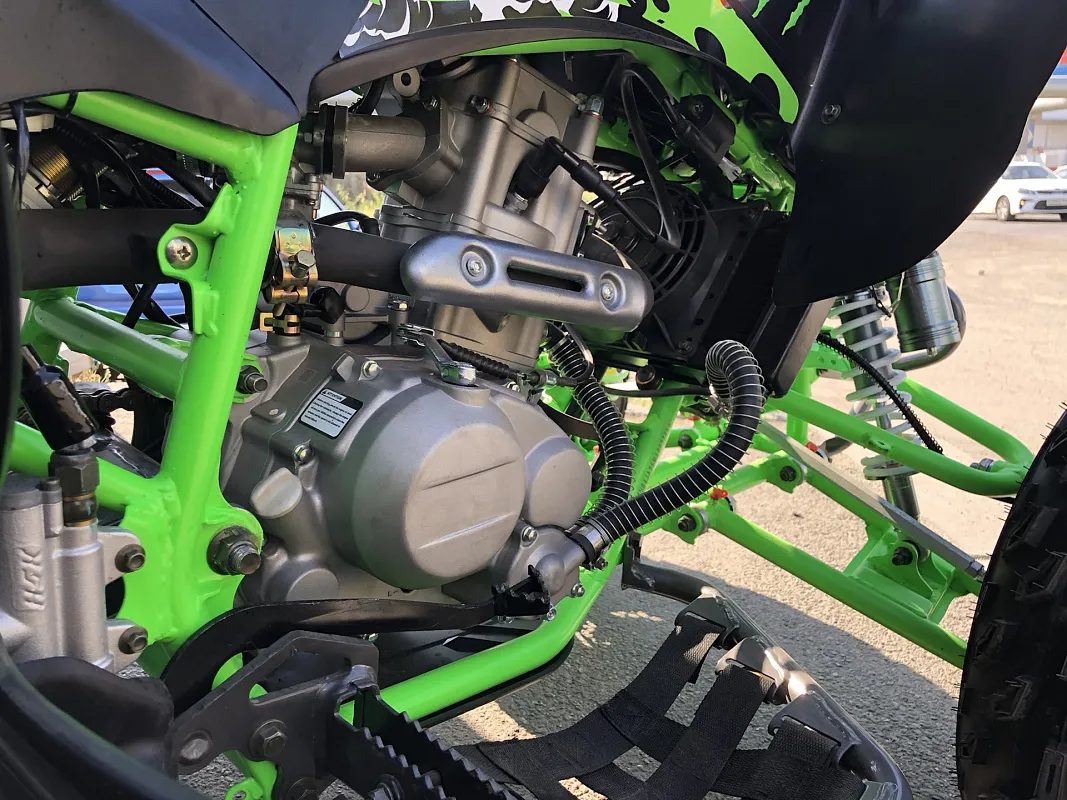 PROMAX RAPTOR 300 NEW
